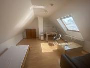Helle 1 Zimmer Wohnung, möbliert, Garten, Keller, für...