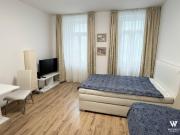 Helle 1 Zimmerwohnung in zentraler Lage – sofort...