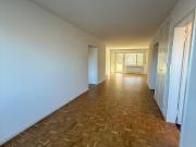Helle 4.5 Zimmerwohnung im Erdgeschoss mit grosser Terasse