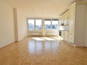 Helle 90 m² Wohnung mit Küche im Zentrum von Steyr!