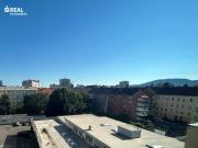 Helle Garconniere mit südlicher Ausrichtung und...