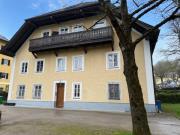 Helle Großgarconniere im grünen Gnigl