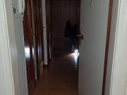 Helle klein und fein