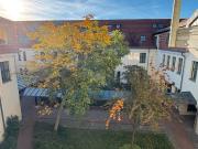 Helle, modern möblierte 2 Zimmer Wohnung im Herzen Potsdams