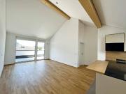 Helle Penthouse Wohnung mit Dachterrasse in Erpfendorf /...