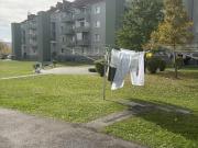 helle, praktisch geschnittene 2 raum wohnung in ruhiger...