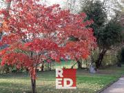 Helle RÄUME im Grünen