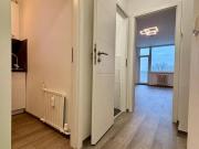 Helle sanierte Einzimmerwohnung zur Miete