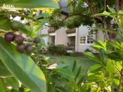 Helle, südseitig ausgerichtete SINGLE / PÄRCHENWOHNUNG...