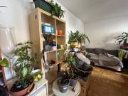 Helle und geräumige Garconniere in der Klosterwiesgasse...