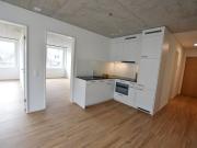 Helle und moderne 3 Zimmerwohnung nähe ÖV