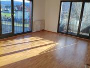 Helle und zentrale Stadtwohnung in Dornbirn, Rohrbach