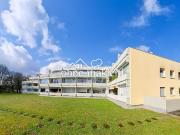 Helles 1 Zimmer Appartement mit Süd Balkon in Pasing –...