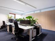 Helles, flexibles Büro am Stiglmaierplatz – Meetingraum...