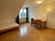 Helles, möbliertes Einzimmerapartment in Karlsruhe, ab...