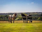 Henley Park, Normandy, Guildford, Surrey GU3, 5 bedroom...