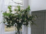 Hepkestraße 153, 01277 Dresden