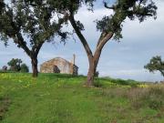 HERDADE 10,84ha a 30 Km das Praias