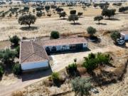 Herdade 15ha ’Chave na Mão’ duas habitações, e um pavilhão