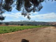 Herdade | 52 Hectares