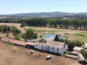 Herdade Agricola com 49ha e Moradia de Familia em...