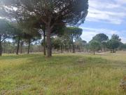 Herdade Bicas Comporta