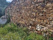 Herdade com 10 hectares em Alegrete