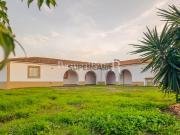 Herdade com 15 hectares com picadeiro e olival
