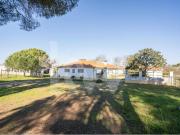 Herdade Com 190 Ha Em Benavente, Distrito De Santarém...