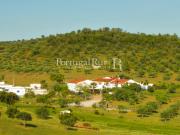 Herdade com 21ha perto do Lago Alqueva