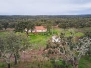 Herdade com 28,85 hectares em Santiago do Cacém...