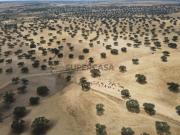 Herdade com 400 hectares em Beja