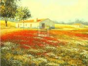 Herdade com 620 Ha em Odemira Beja