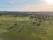 Herdade com 63 hectares 0m² Santiago Maior