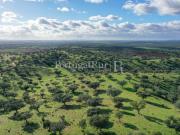 Herdade com 700 hectares, na região de Évora Alentejo...