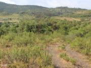 Herdade com 80 hectares com viabiliade de construção de...