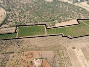 Herdade com 81.325,00 m2 de Vinha em Estremoz