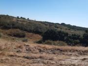 Herdade com 85ha com autorização para casas de campo ou...