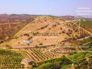Herdade com 8,7 Hectares Excelente Localização