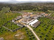Herdade com Aldeia despovoada de características únicas