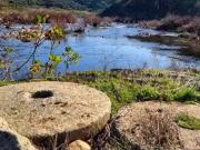 Herdade com Terreno Rústico de 39,7 ha e 1,7 km de...