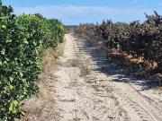 Herdade com Vinha e Adega | 6 Hectares | Excelente...