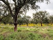 Herdade de 102 hectares com montado e Olival 300m² Ponte...