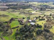 Herdade de 103 ha confinante com o Rio Ocreza em Castelo...