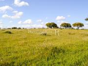 Herdade de 10 hectares na zona de Alandroal