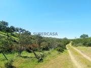 Herdade de 182 Hectares | Cultura agrícola ou Turismo...