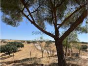 Herdade de 335 hectares com grande potencial agrícola,...