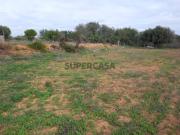 Herdade de 5 Hectares para projectos de agricultura...