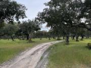 Herdade de 700 ha com elevada produção de cortiça...