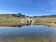 Herdade de Monte Branco, Figueira e Malhada Velha 267m²...